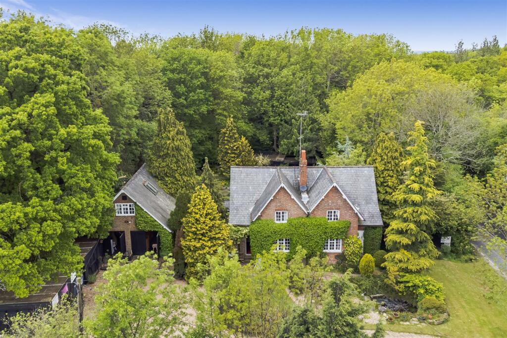 Aerial view of the cottage nestled among the woodland trees